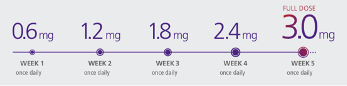 dosing schedule